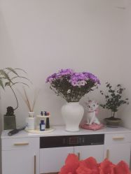 -WENDY·温迪皮肤管理