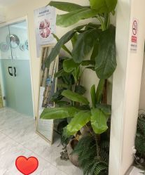 -健身堂科技美肌SPA