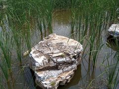 -张家湾公园