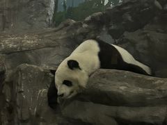 -鄂尔多斯野生动物园