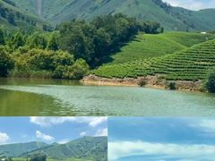 -阿露佳·舌尖上的安吉菜