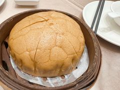 -海龙阁酒家·37年老字号粤菜(保利广场店)