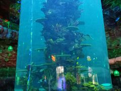 -青岛嘉年华主题乐园