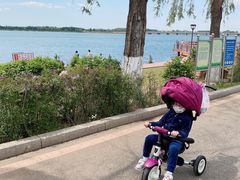 -丁香湖公园