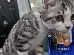 -北京赛佳动物医院