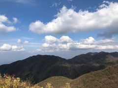 -大围山国家森林公园