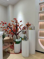 -skin79皮肤管理中心