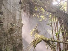 -青青世界