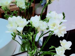 -双季花艺园艺市场(浦东店)