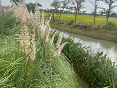 -嘉北郊野公园