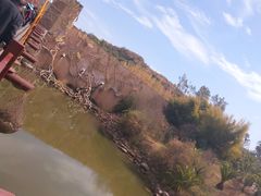 -世界恐龙谷景区