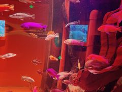 -沈阳海洋探索中心