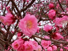 -北京鹫峰国家森林公园