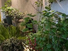 -About Bistro關於·泰式家庭料理