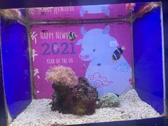 -海合安青岛极地海洋公园