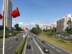 -景田北六街公园宠物主题园