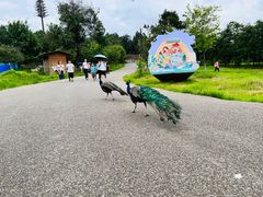 -昆明动物园