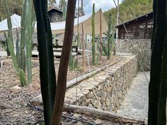 -MOJ coffee(瓯海泽雅水碓坑店)