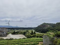 -长江澳风力发电景观区