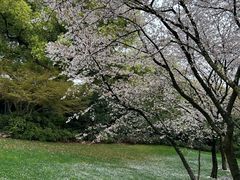 -中国茶叶博物馆(双峰馆区)