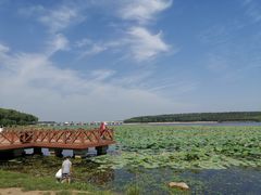 -丁香湖公园