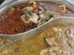 -姚树人麻辣鱼火锅(福泰路店)