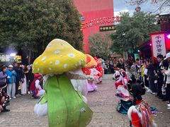 -丽江千古情