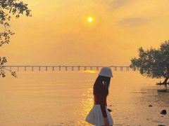 -宝安西湾红树林湿地公园