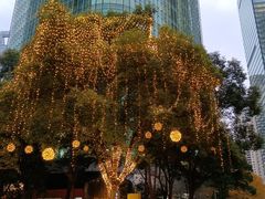 -怡咖啡海鲜自助餐厅(浦东香格里拉店)