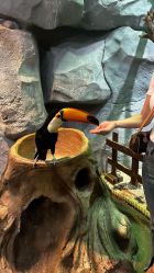 -Zoolung Zoolung动物主题公园(海信广场店)