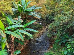 -象头山国家级自然保护区