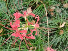 -白塘生态植物园