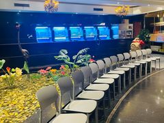 -上海1号私藏菜(黄浦店)
