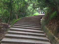 -仙岳公园
