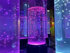 -海合安武汉极地海洋公园