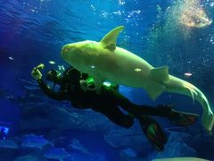 -海合安成都极地海洋公园