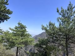 -秦岭天竺山景区