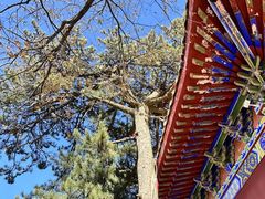 -秦岭终南山世界地质公园翠华山景区