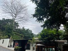 -火炉山森林公园