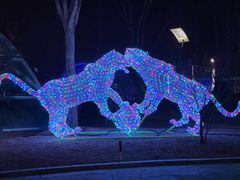 -南宫五洲植物乐园