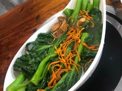 -石岐乳鸽村(桥观坊南四巷店)