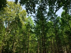 -河南省黄河迎宾馆