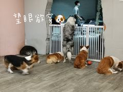 -浣熊柯尔鸭土拨鼠·电玩咖
