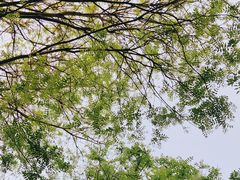 -西安世博园