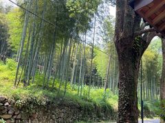 -东明山森林公园
