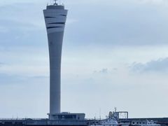 -上海吴淞炮台湾国家湿地公园