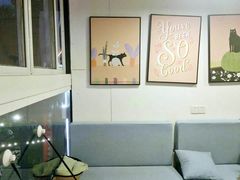 -有猫主题·治愈系猫咖(曾厝垵店)