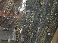 -重庆乌鱼庄·龙滋鲜(青羊大道店)