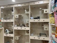 -当汪遇见喵宠物店