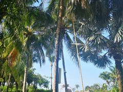 -三亚亚龙湾天域度假酒店